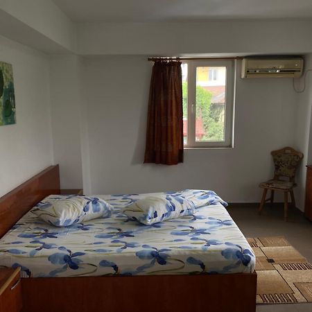 Quiet Garden Ground Floor Daire Bükreş Dış mekan fotoğraf
